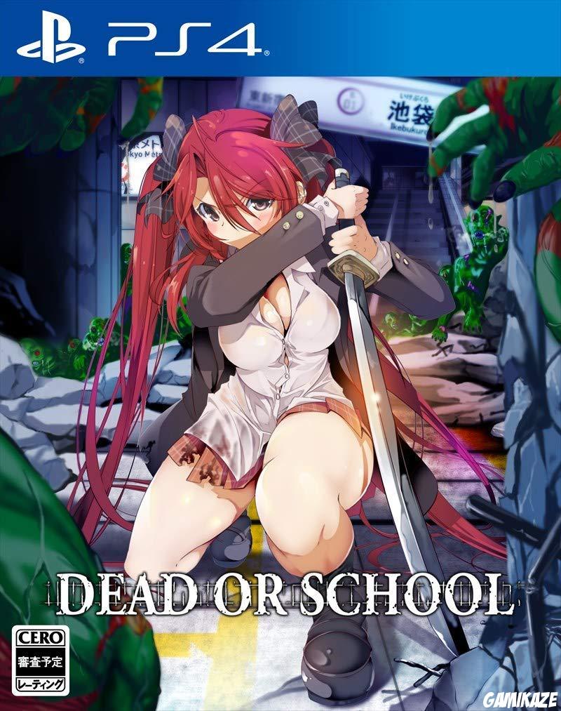 cover Dead Or School ps4