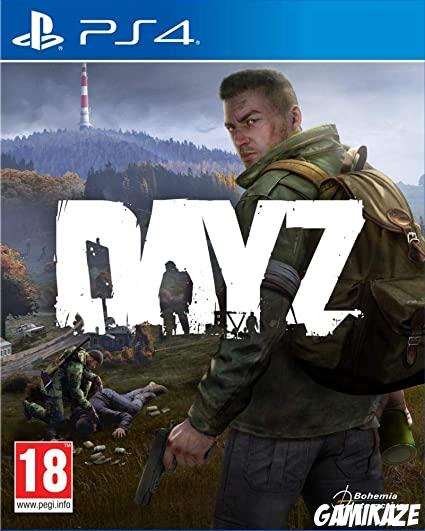 cover DayZ ps4