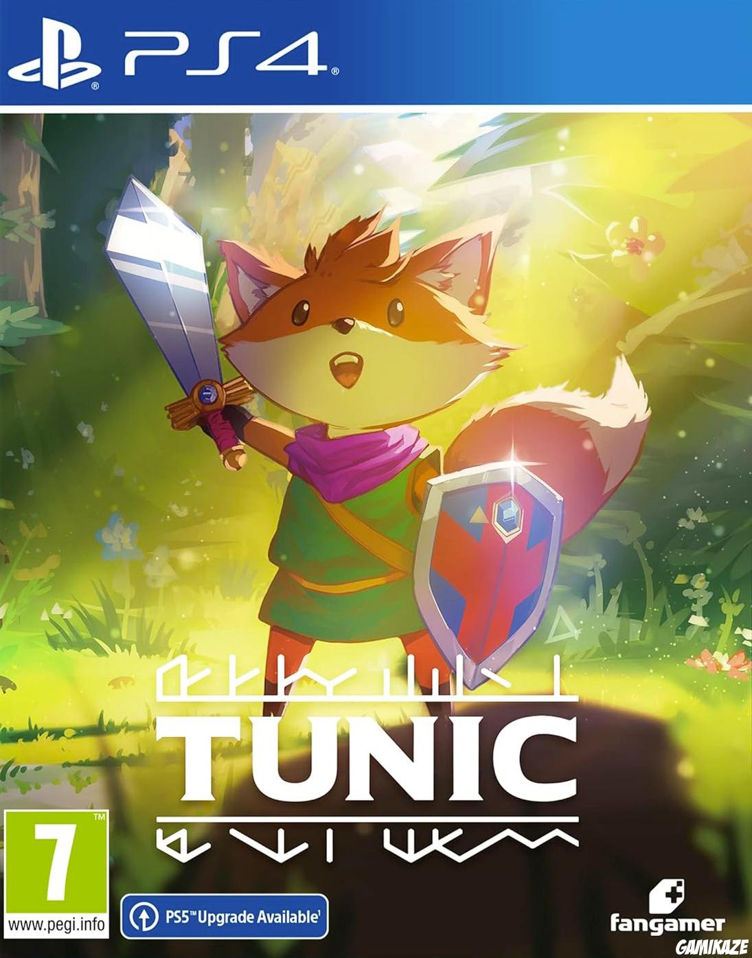 game type Action Tunic