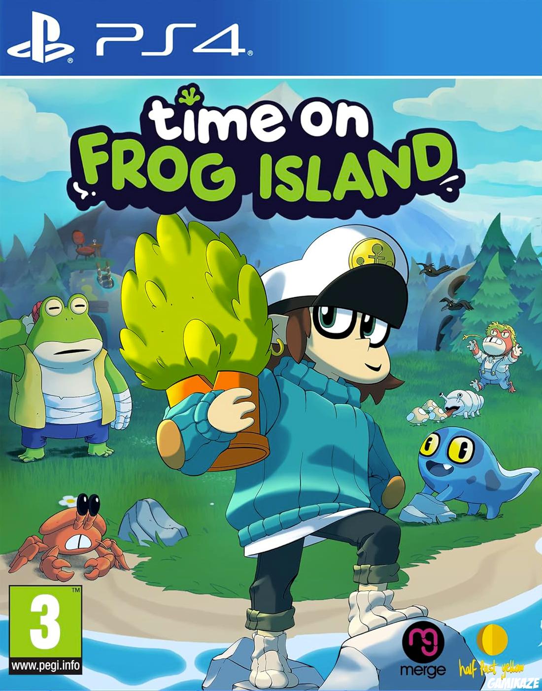 game type Réflexion  Time on Frog Island