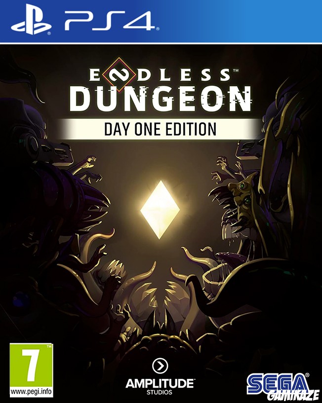cover Endless Dungeon ps4