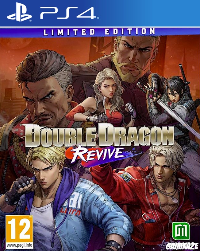 cover Double Dragon Revive ps4