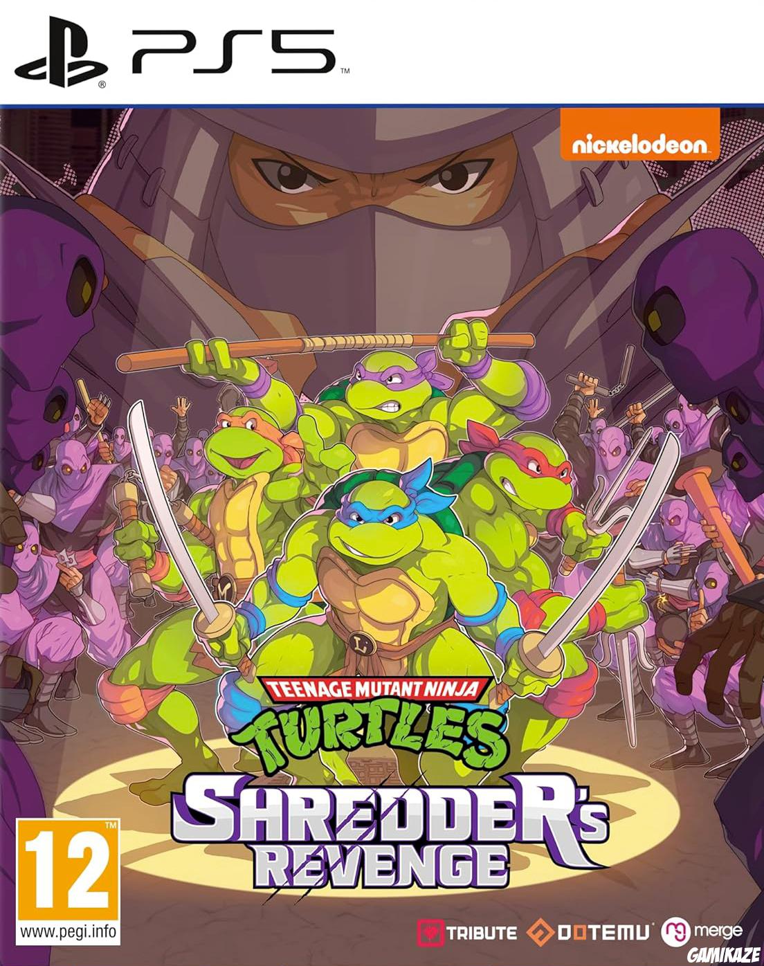 game type Beat'em'all Teenage Mutant Ninja Turtles : Shredder’s Revenge