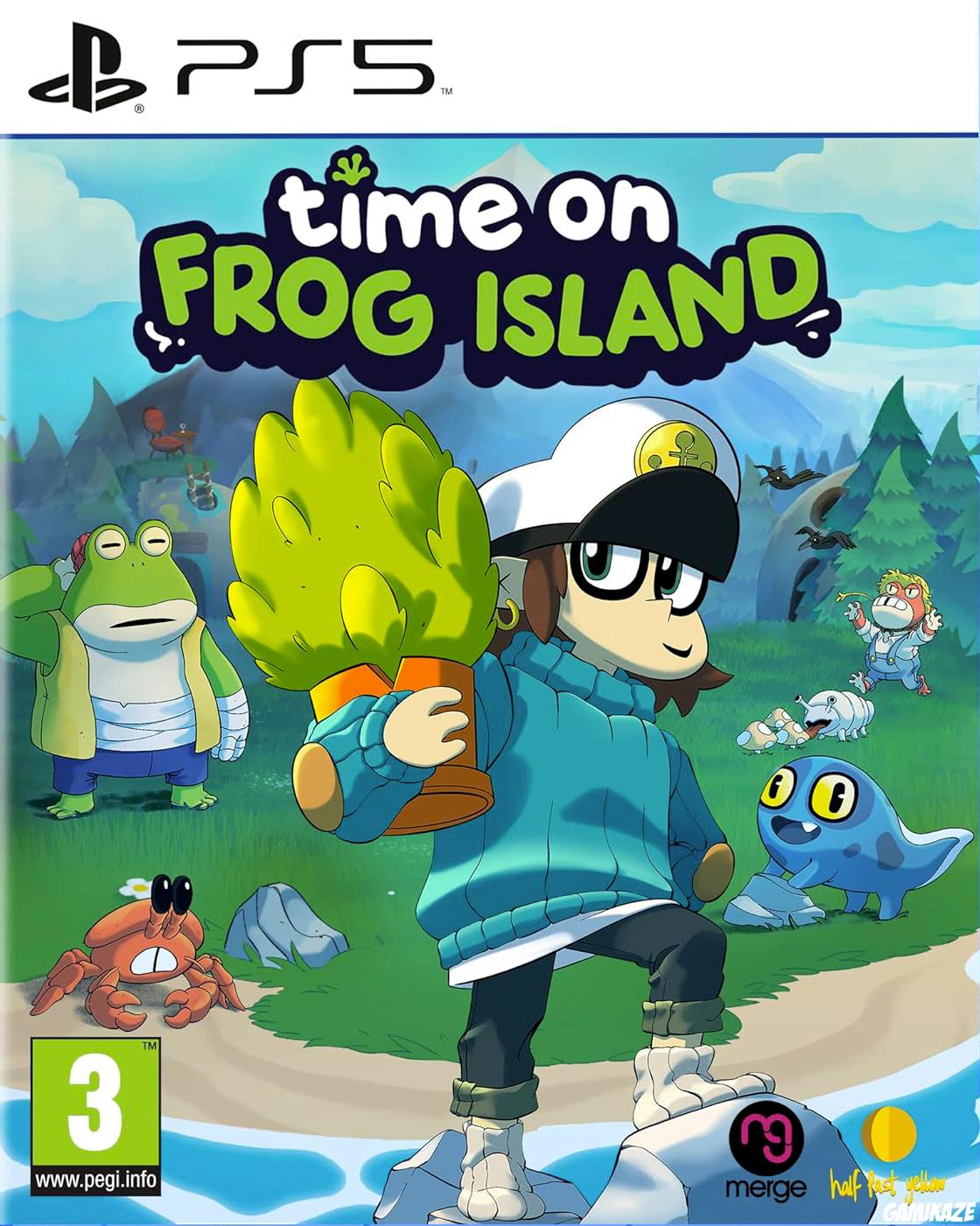 game type Réflexion  Time on Frog Island