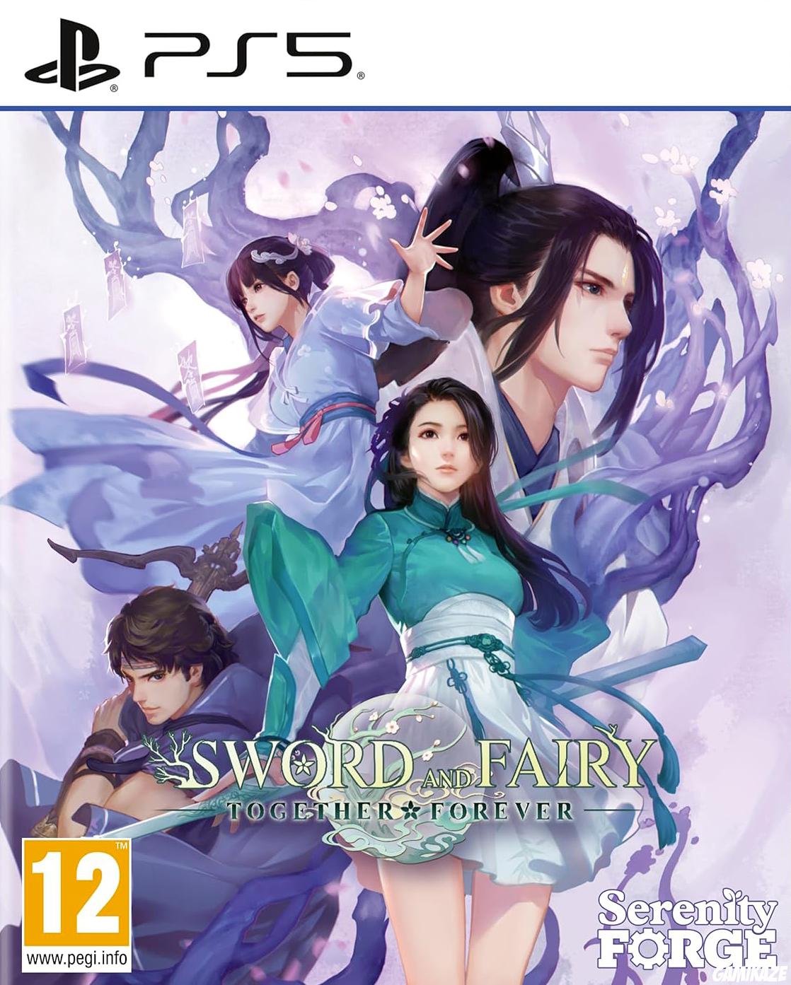 game type Action Sword and Fairy : Together Forever