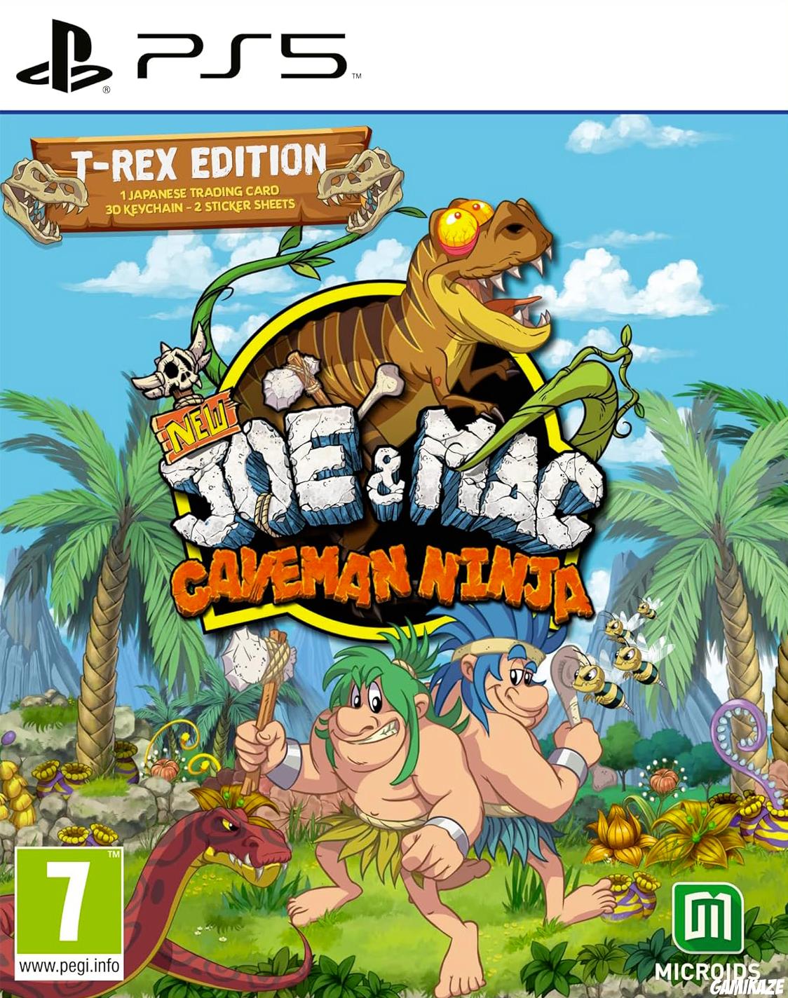 game type Aventure New Joe & Mac : Caveman Ninja