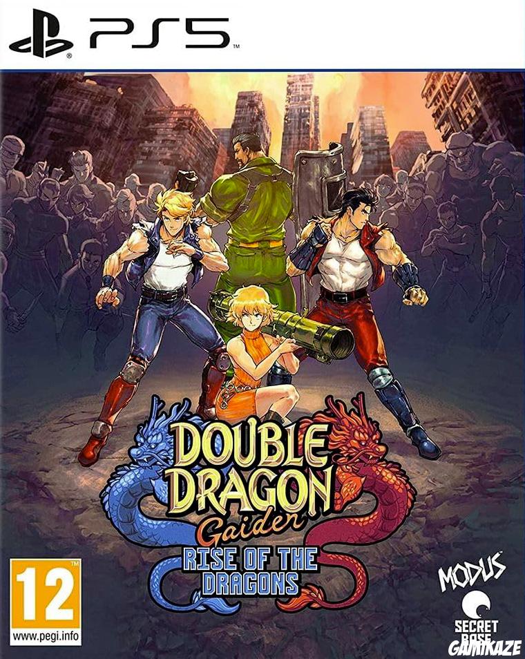 game type Beat'em'all Double Dragon Gaiden : Rise of the Dragons