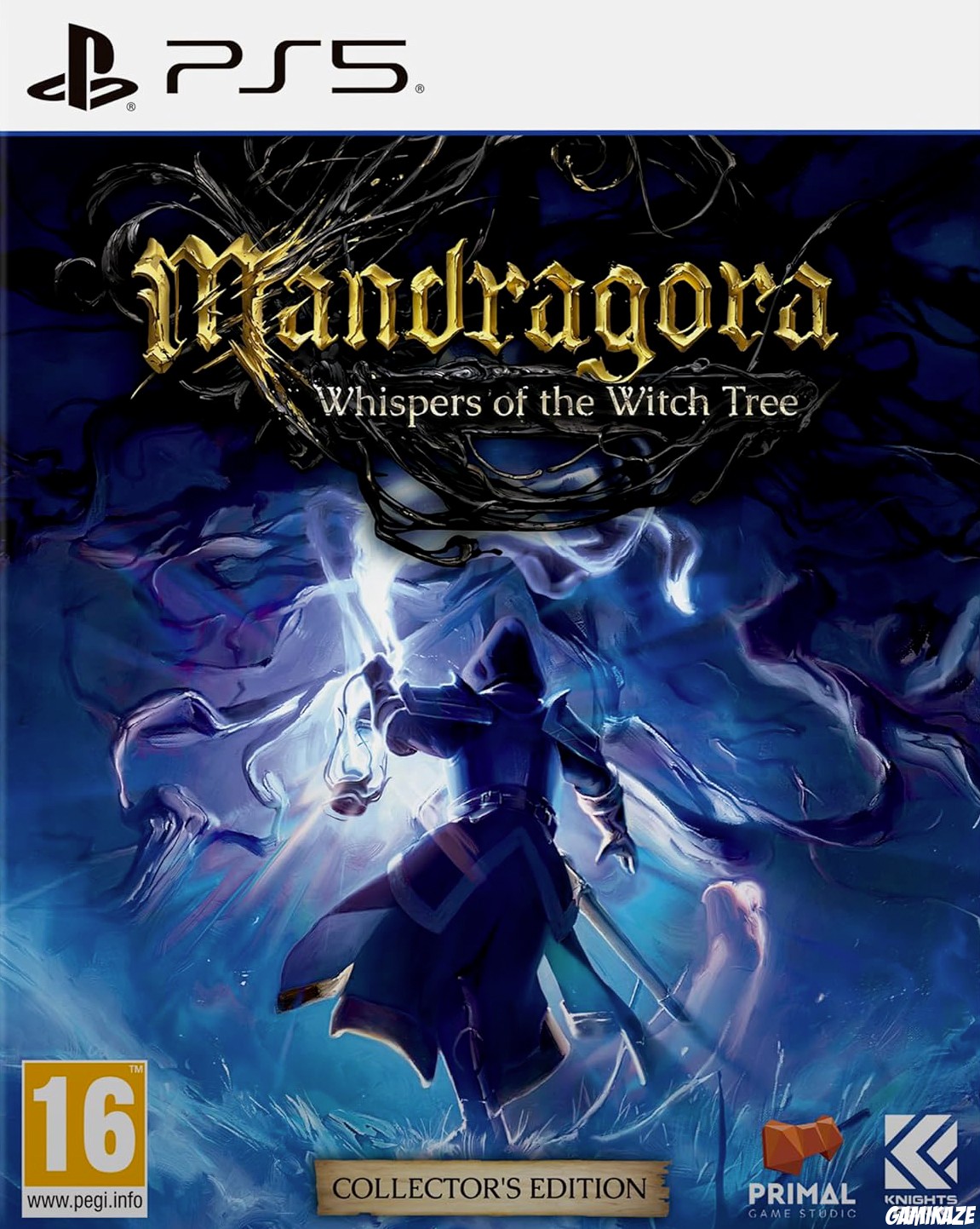 cover Mandragora : Whispers of the Witch Tree ps5