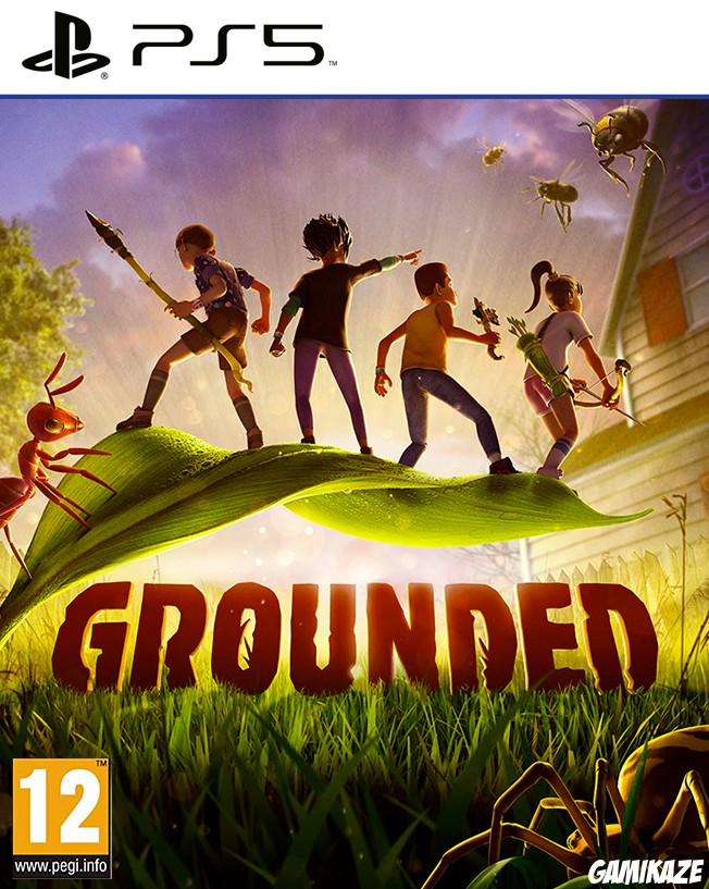 cover Grounded ps5