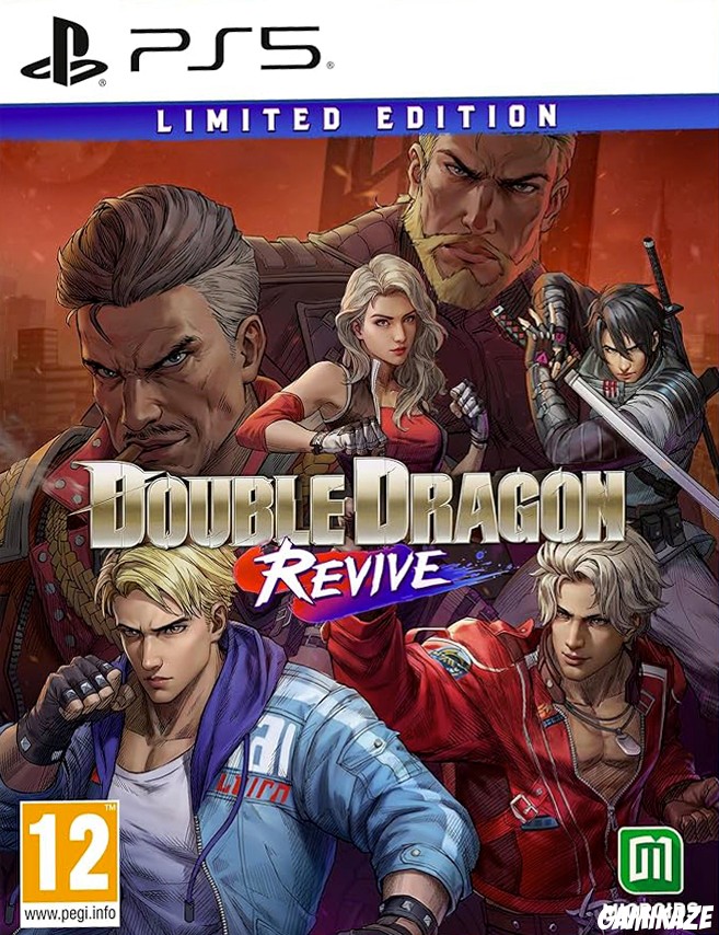 cover Double Dragon Revive ps5