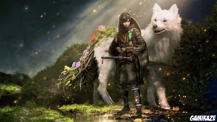 Le plein d'infos sur Beast of Reincarnation