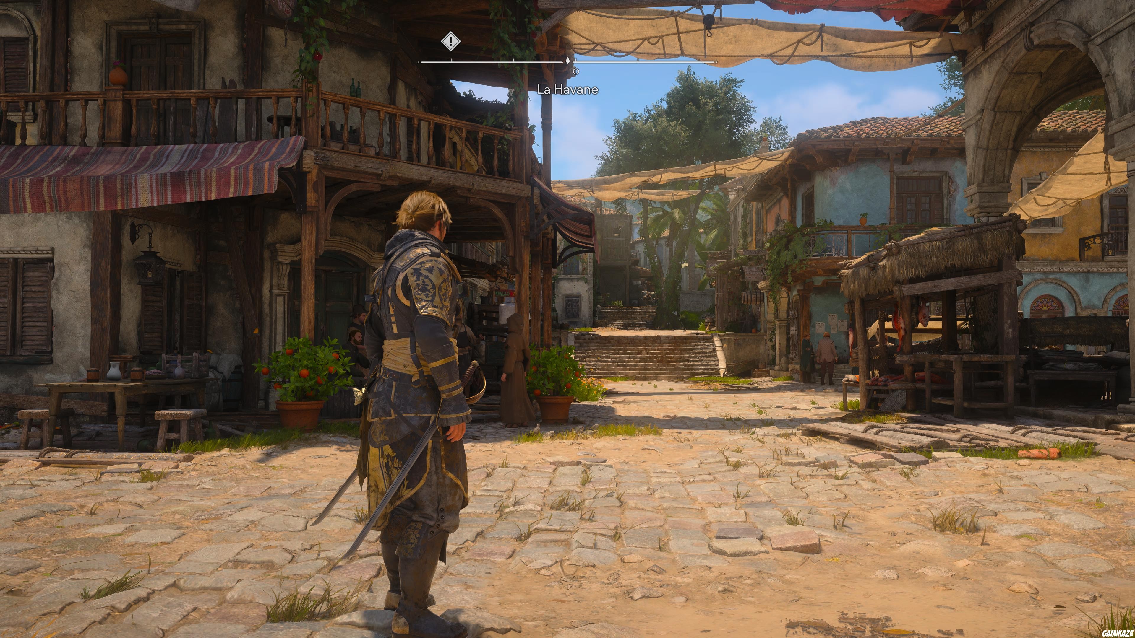 Assassin’s Creed Black Flag Resynced