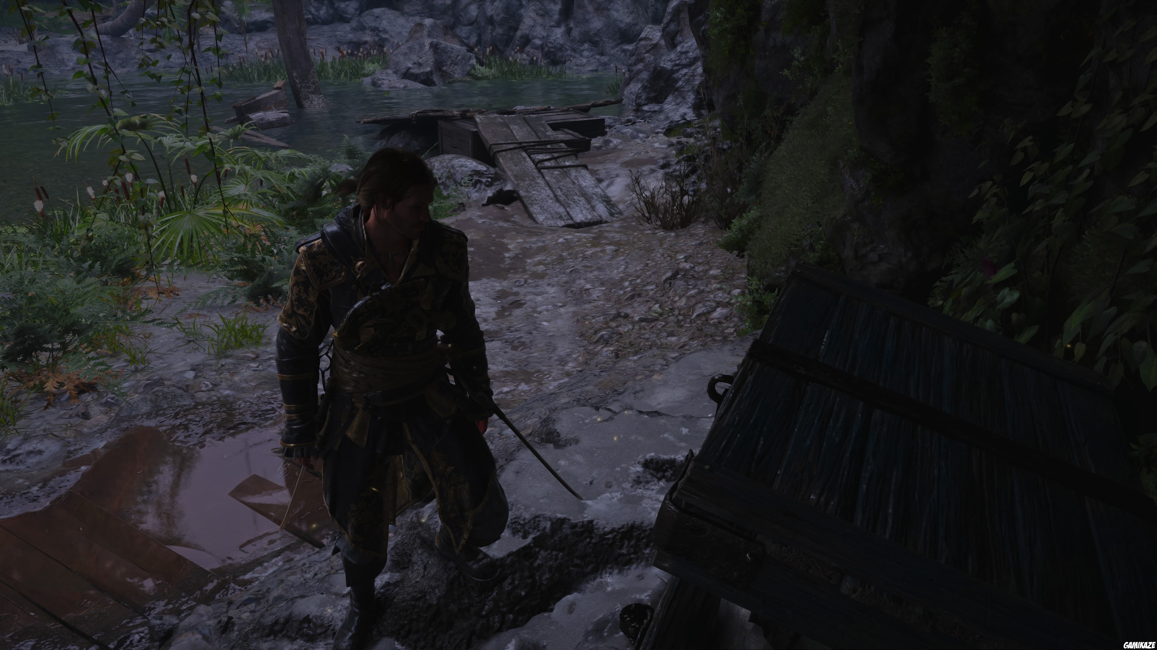 Assassin’s Creed Black Flag Resynced