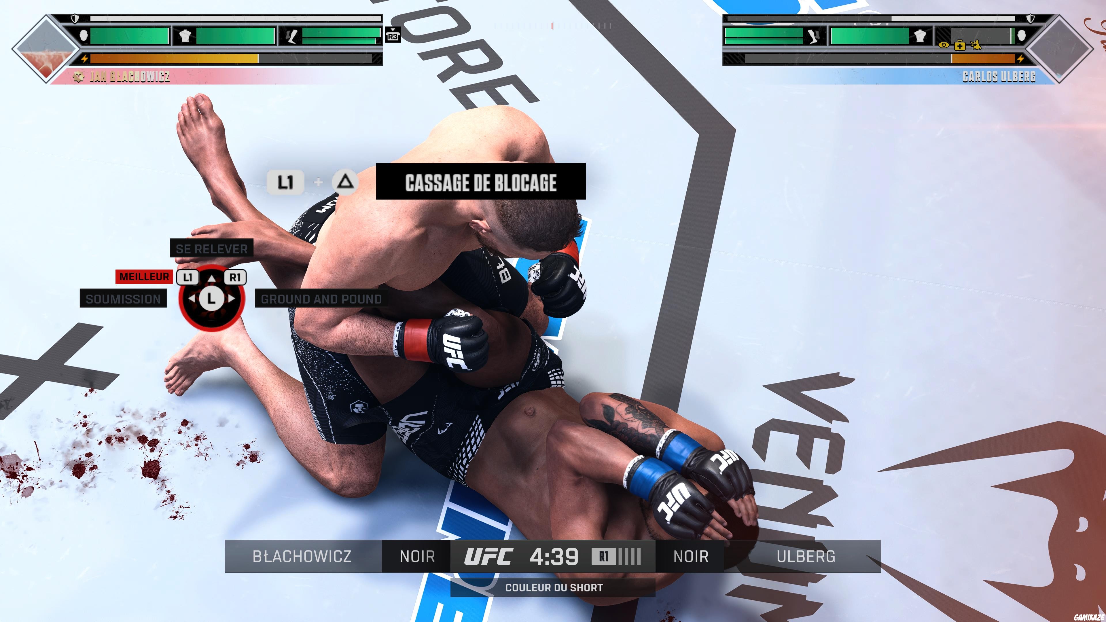EA Sports UFC 6