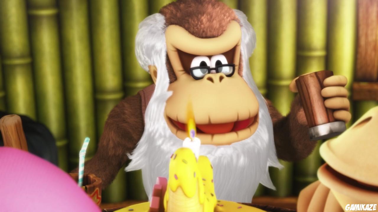 Donkey Kong Country : Tropical Freeze