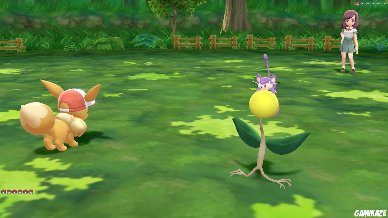Pokémon : Let's Go Evoli