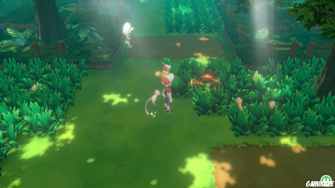 Pokémon : Let's Go Evoli
