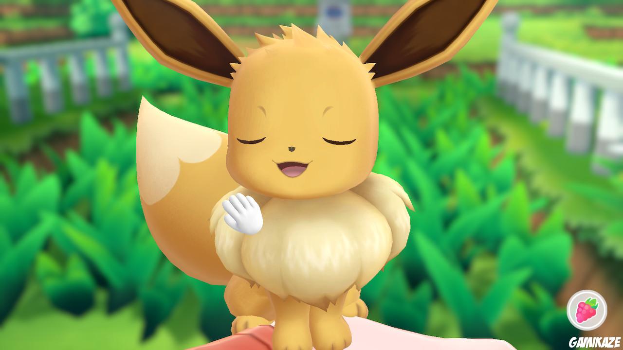 Pokémon : Let's Go Evoli