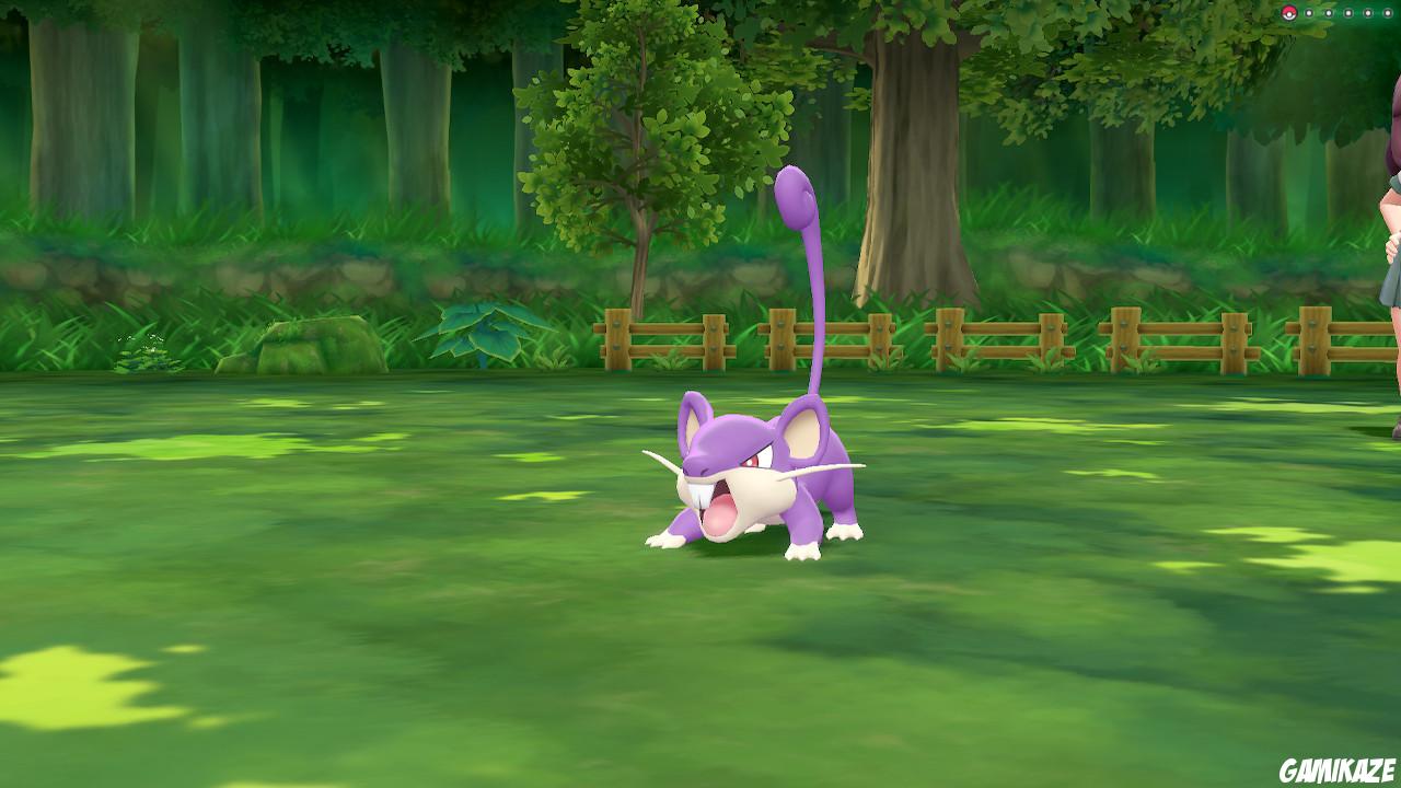 Pokémon : Let's Go Evoli