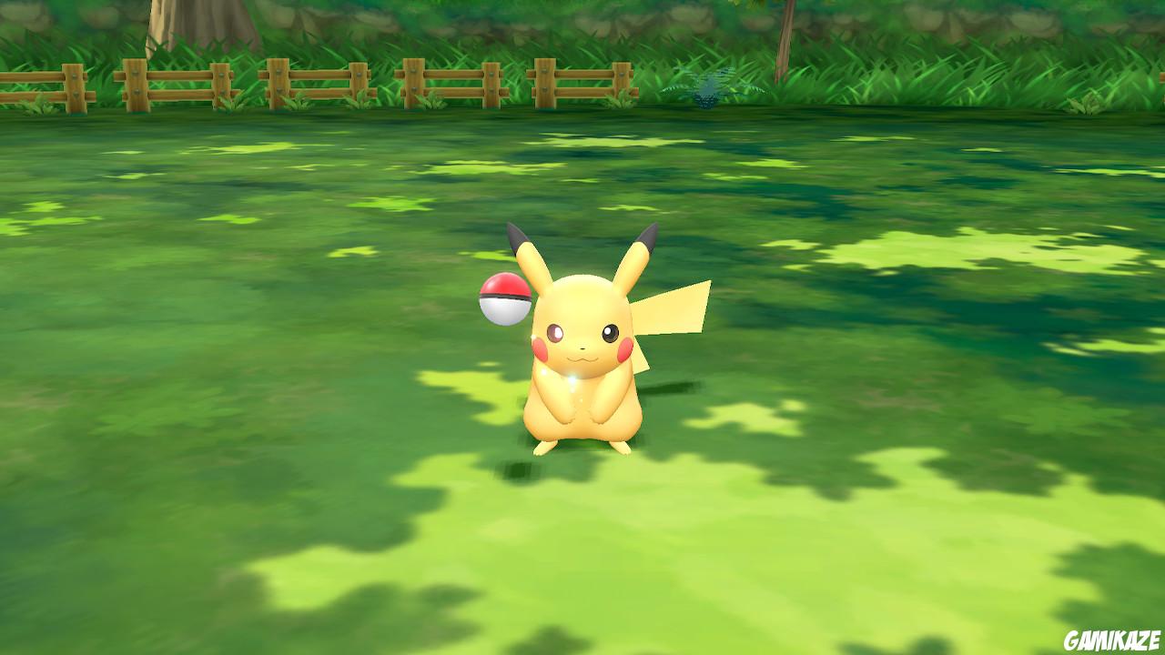 Pokémon : Let's Go Evoli