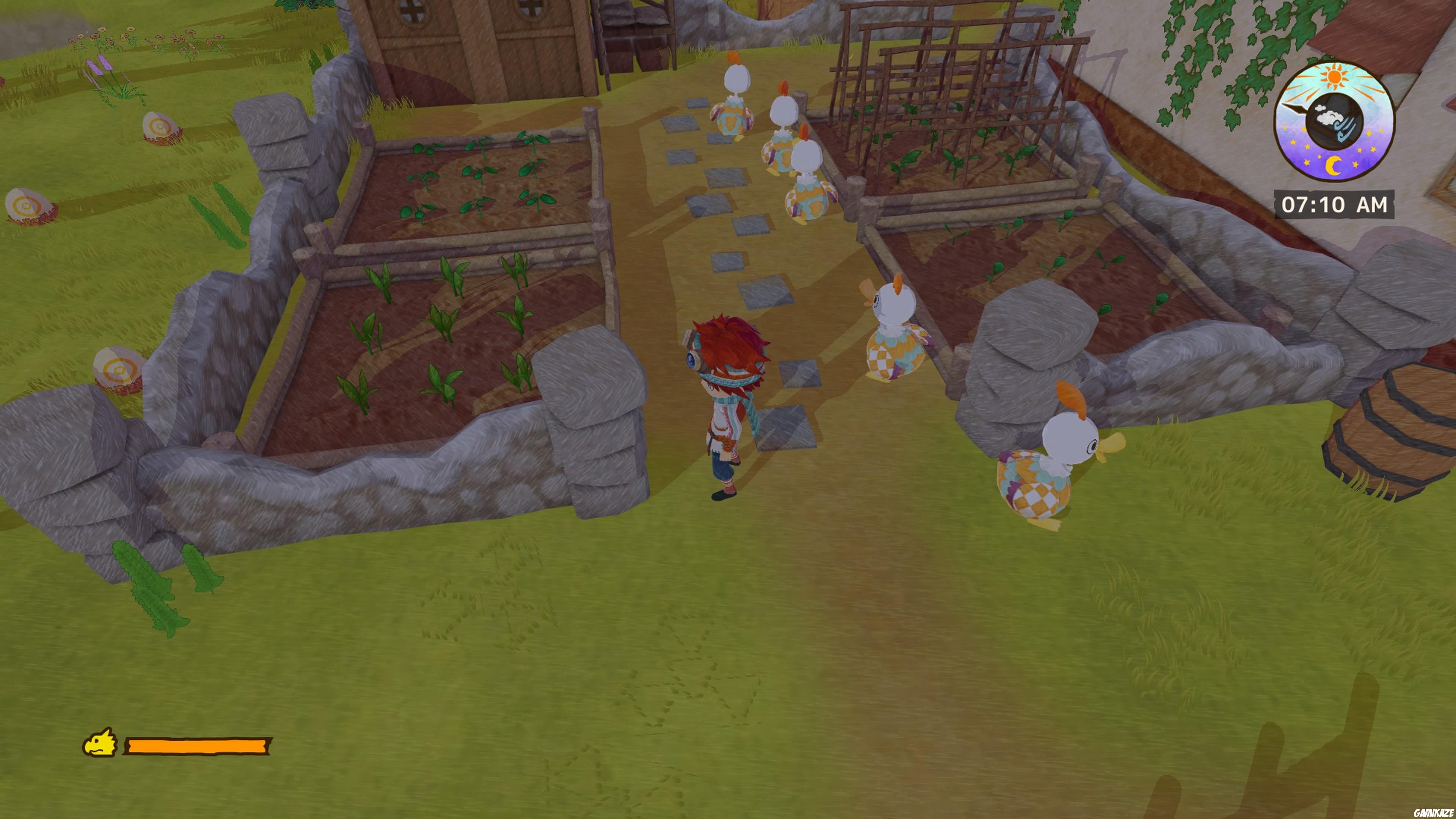 Little Dragons Café