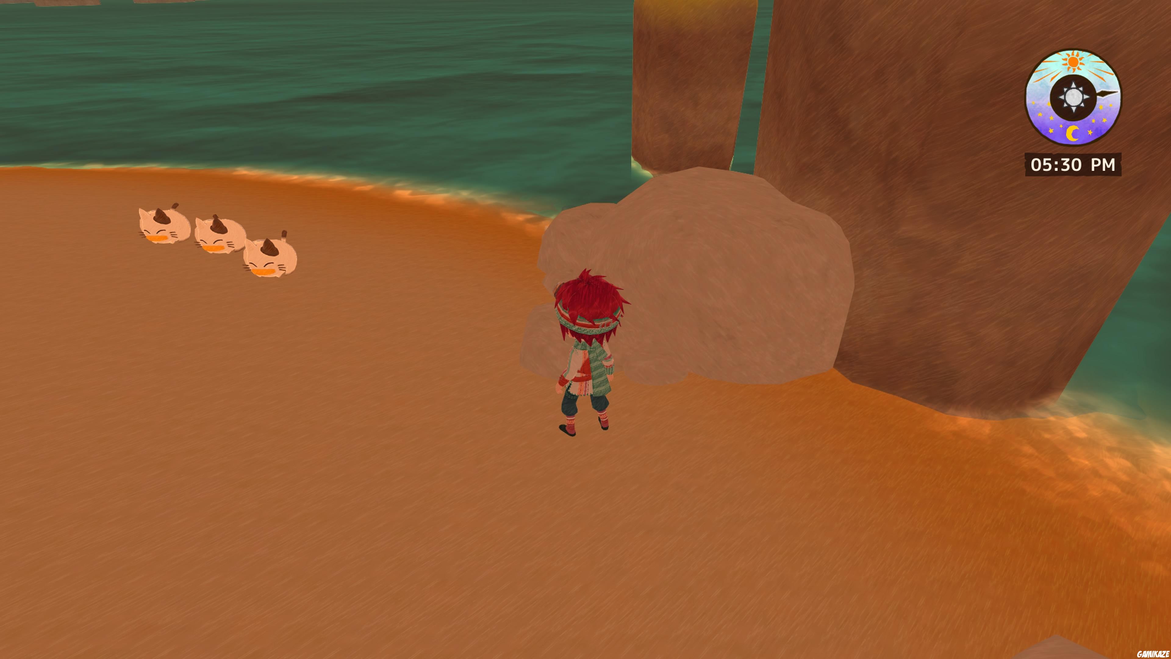 Little Dragons Café