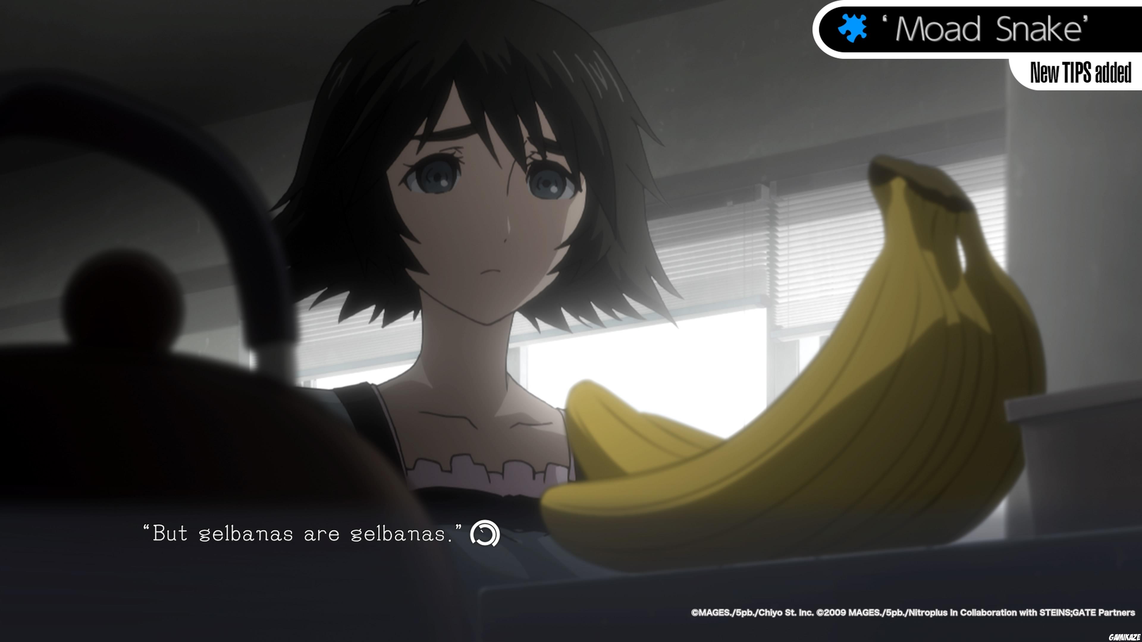 Steins ; Gate Elite