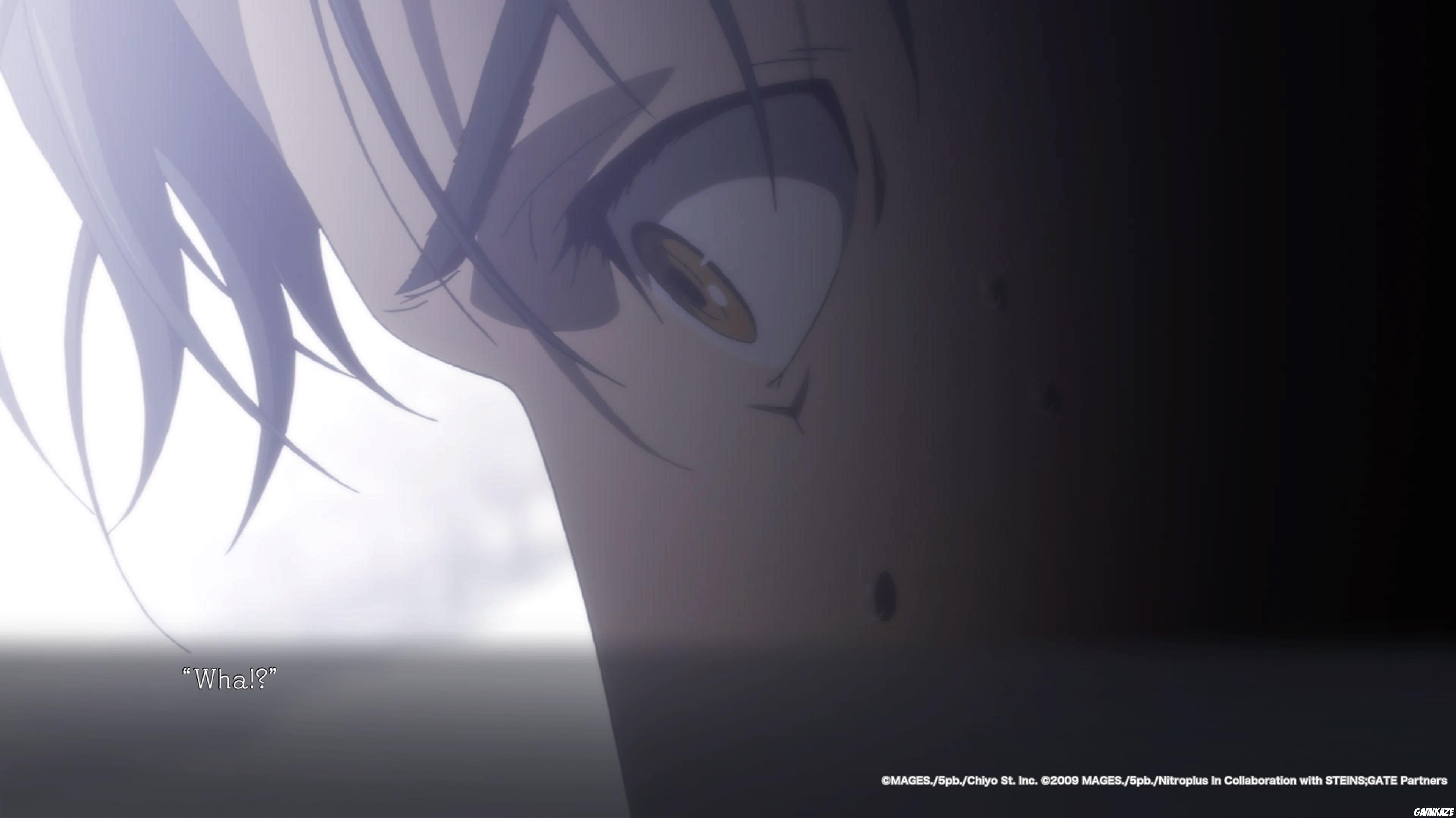 Steins ; Gate Elite