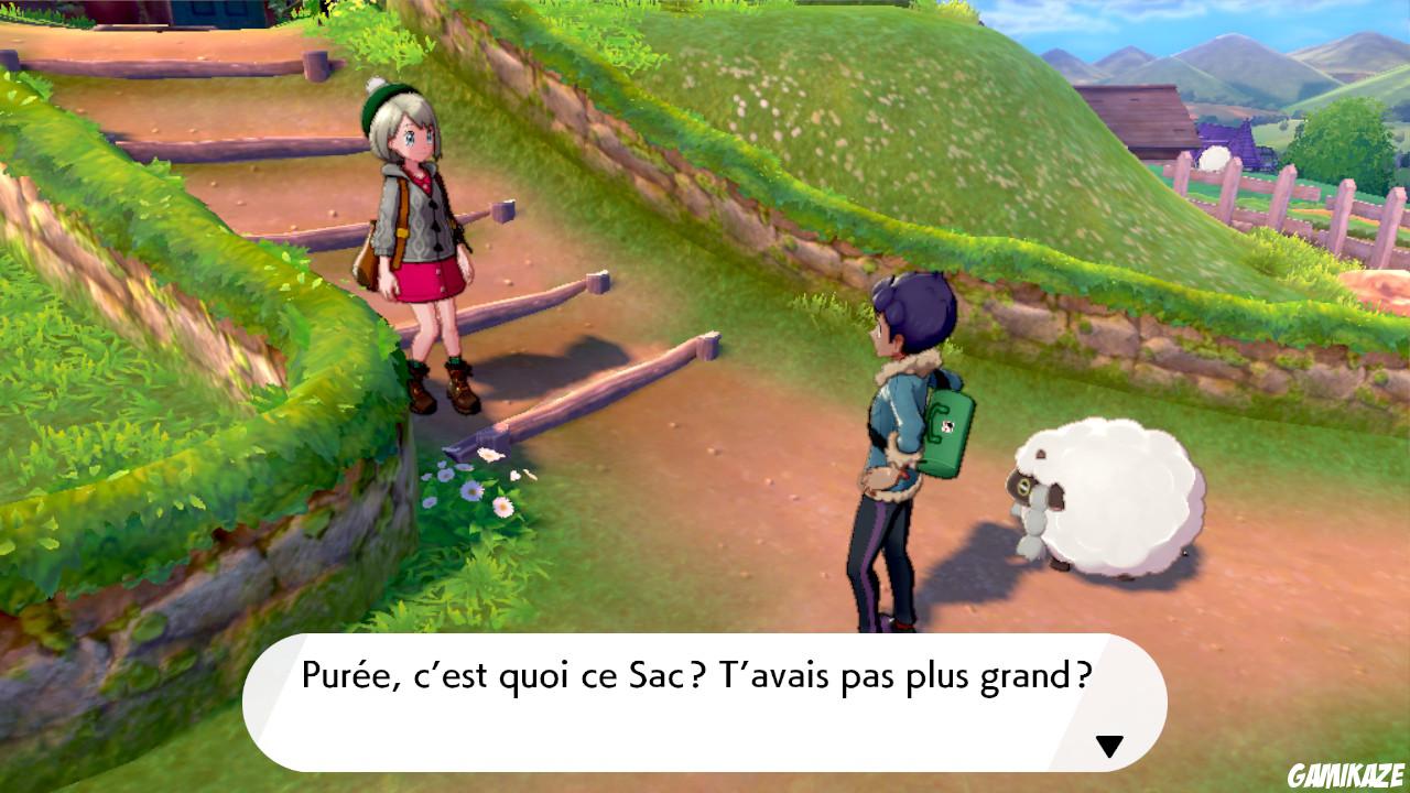 Pokémon Bouclier
