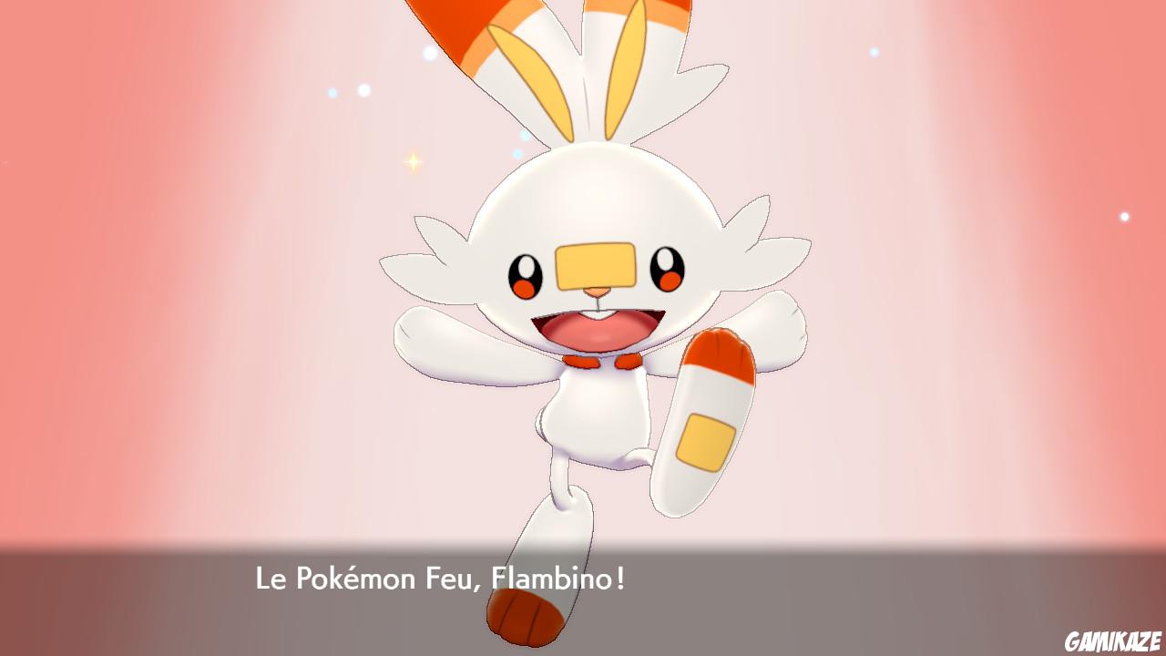 Pokémon Bouclier