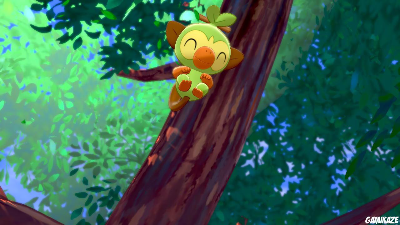 Pokémon Bouclier