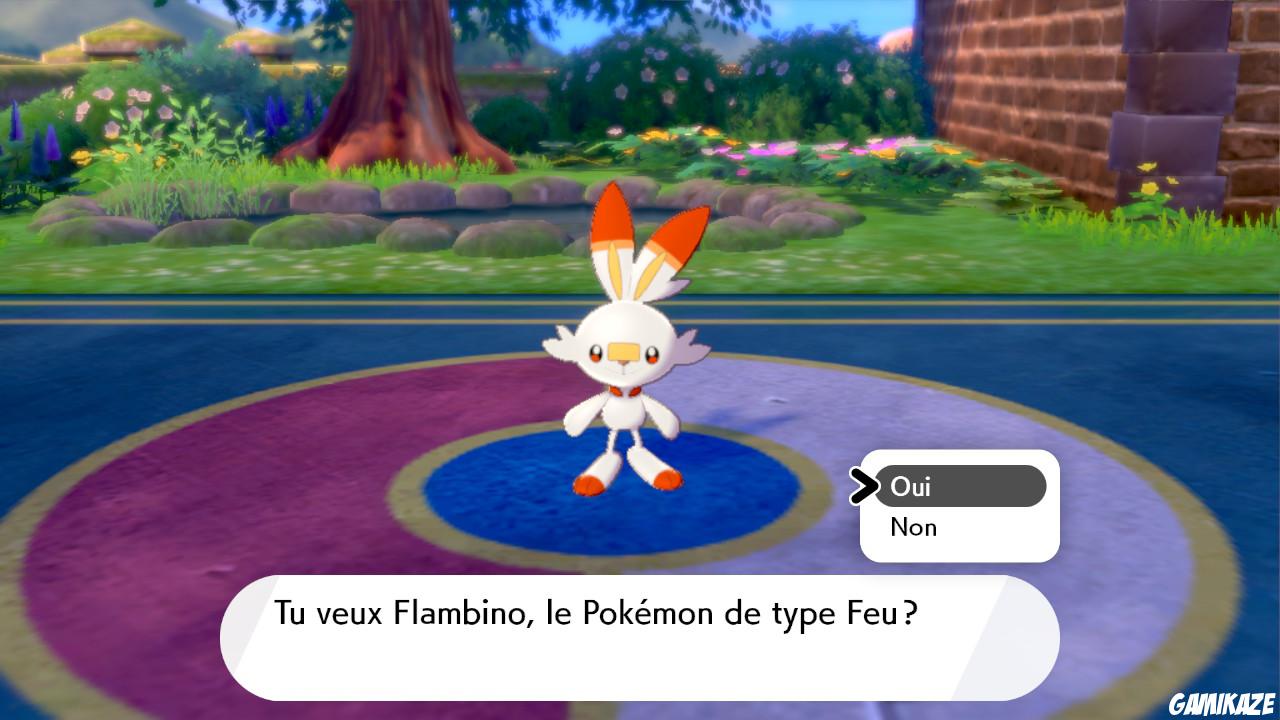 Pokémon Bouclier