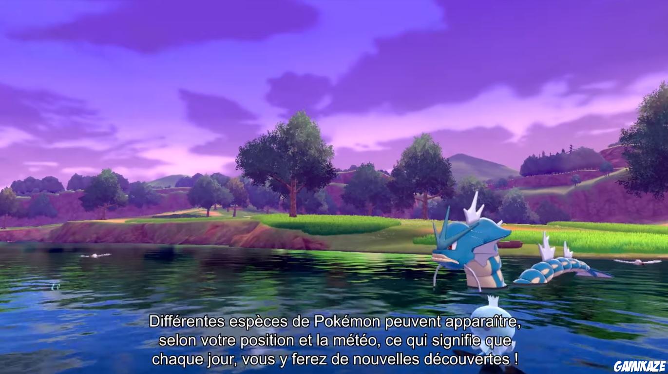 Pokémon Bouclier