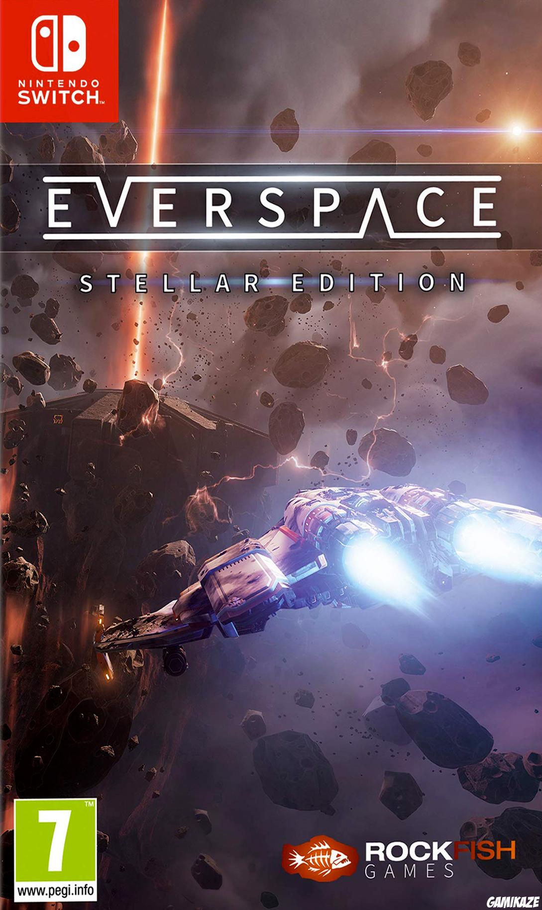 cover Everspace switch