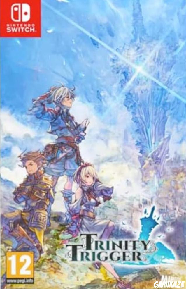 cover Trinity Trigger switch