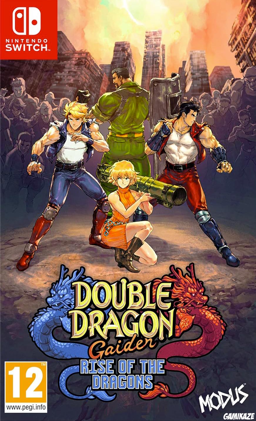 cover Double Dragon Gaiden : Rise of the Dragons switch