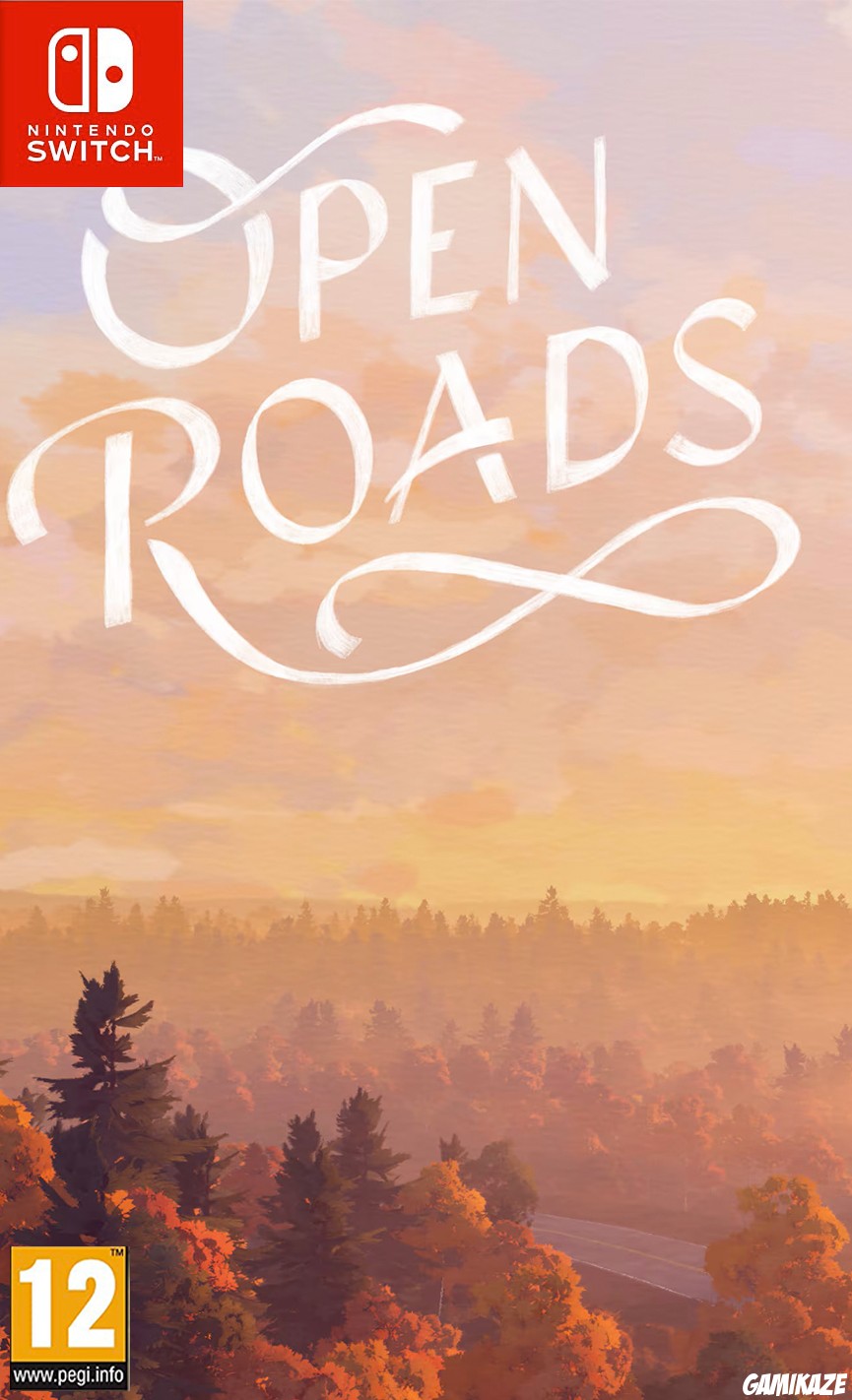 game dev Fullbright Open Roads
