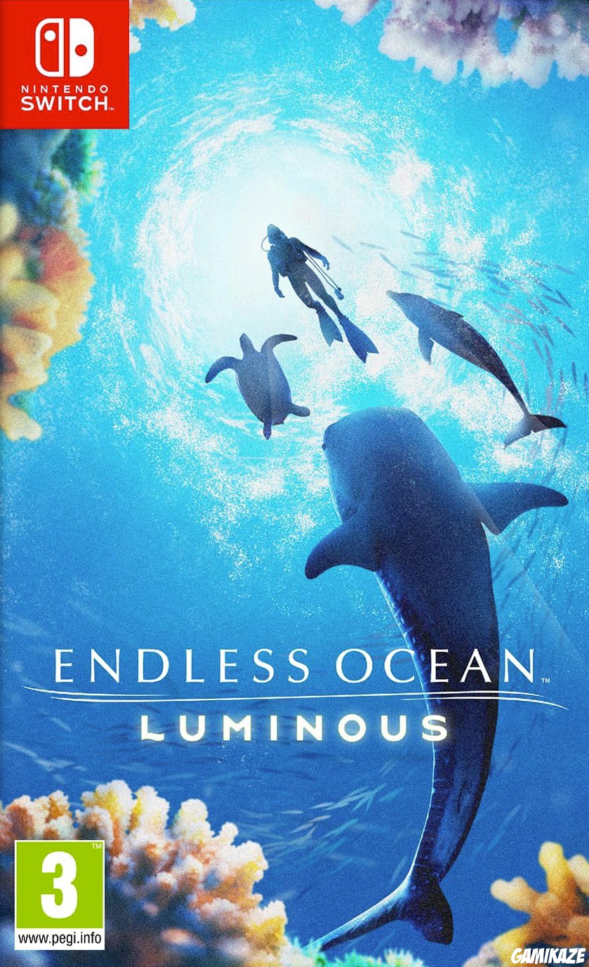 cover Endless Ocean Luminous switch