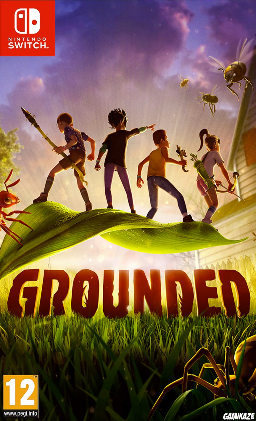 cover Grounded switch