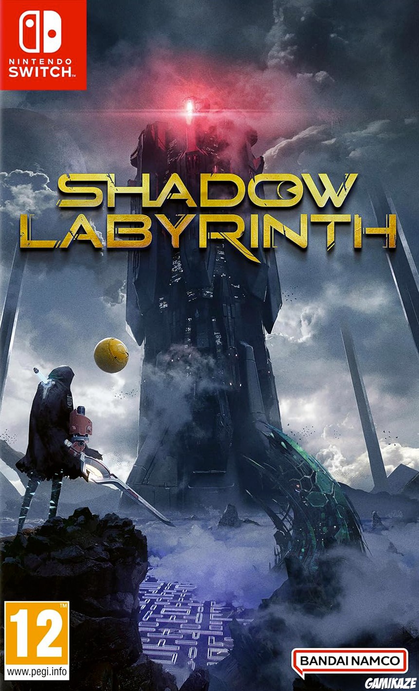 cover Shadow Labyrinth switch