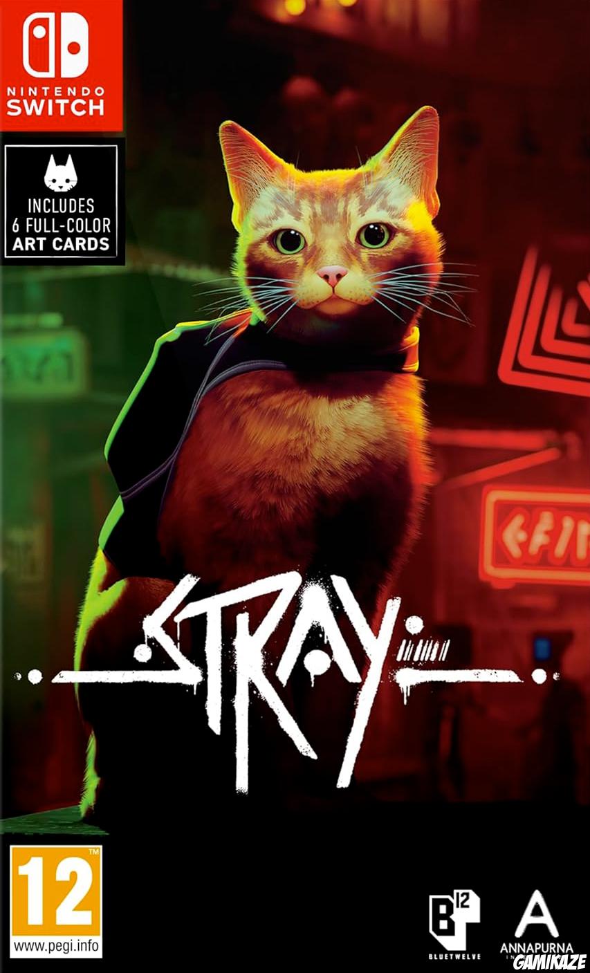 game dev BlueTwelve Studio Stray