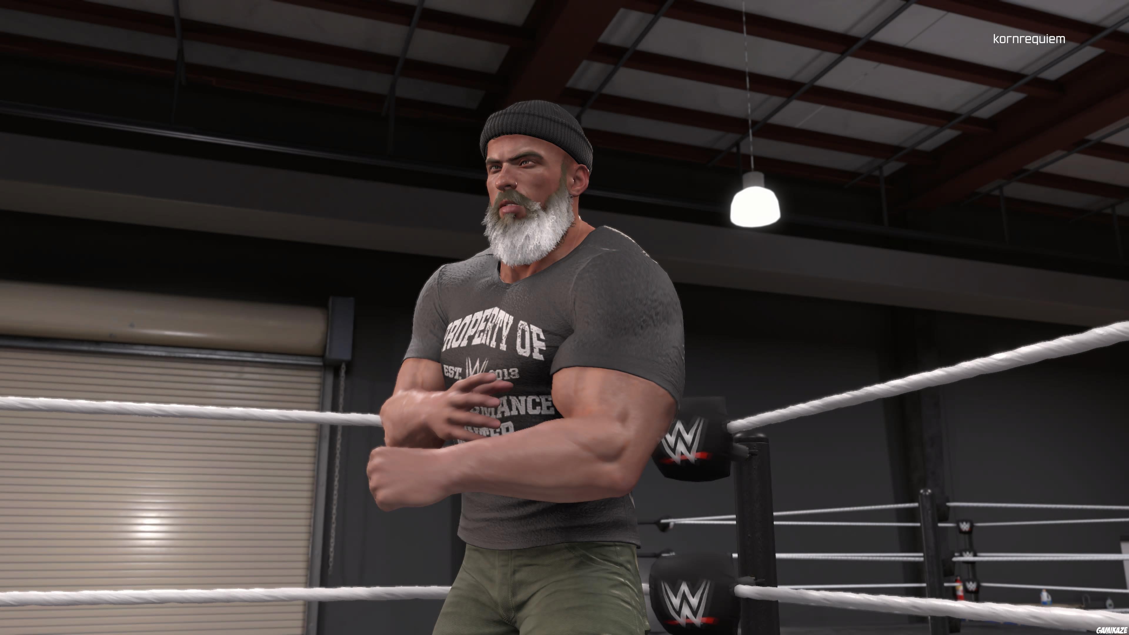 WWE 2K26
