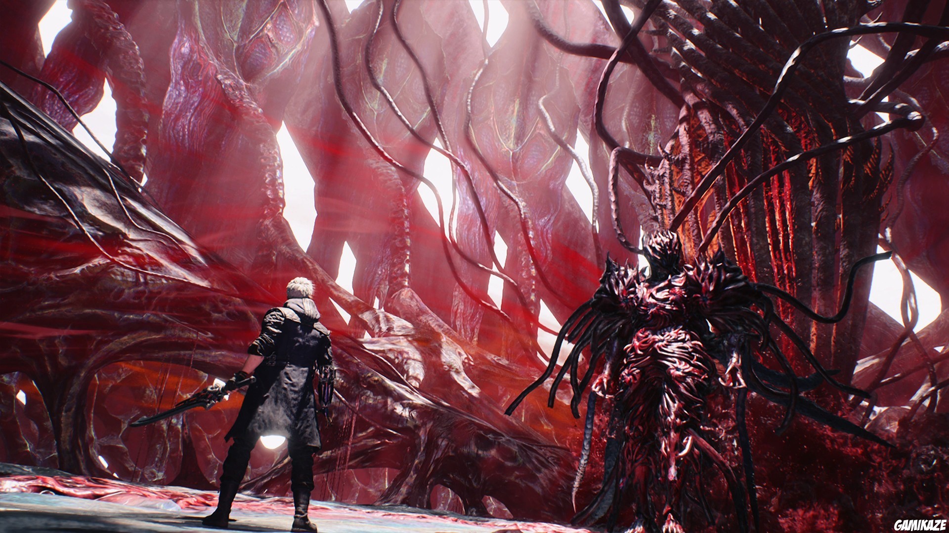 switch2 - Devil May Cry 5 Devil Hunter Edition