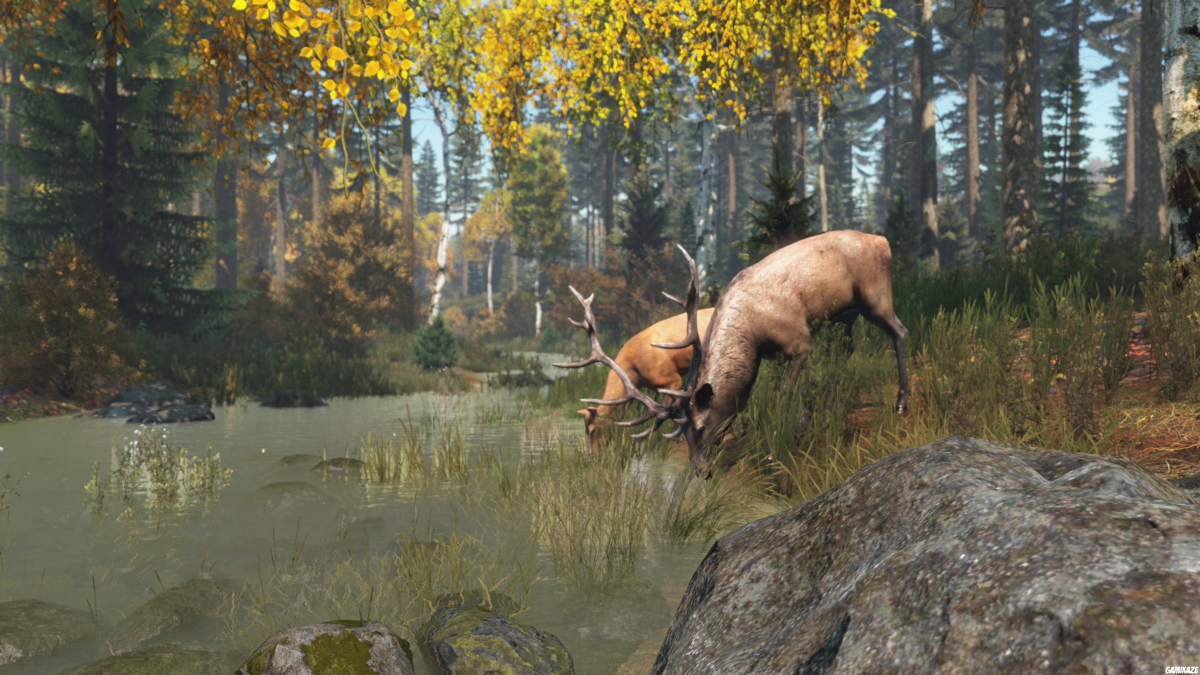 DayZ : Cool Edition