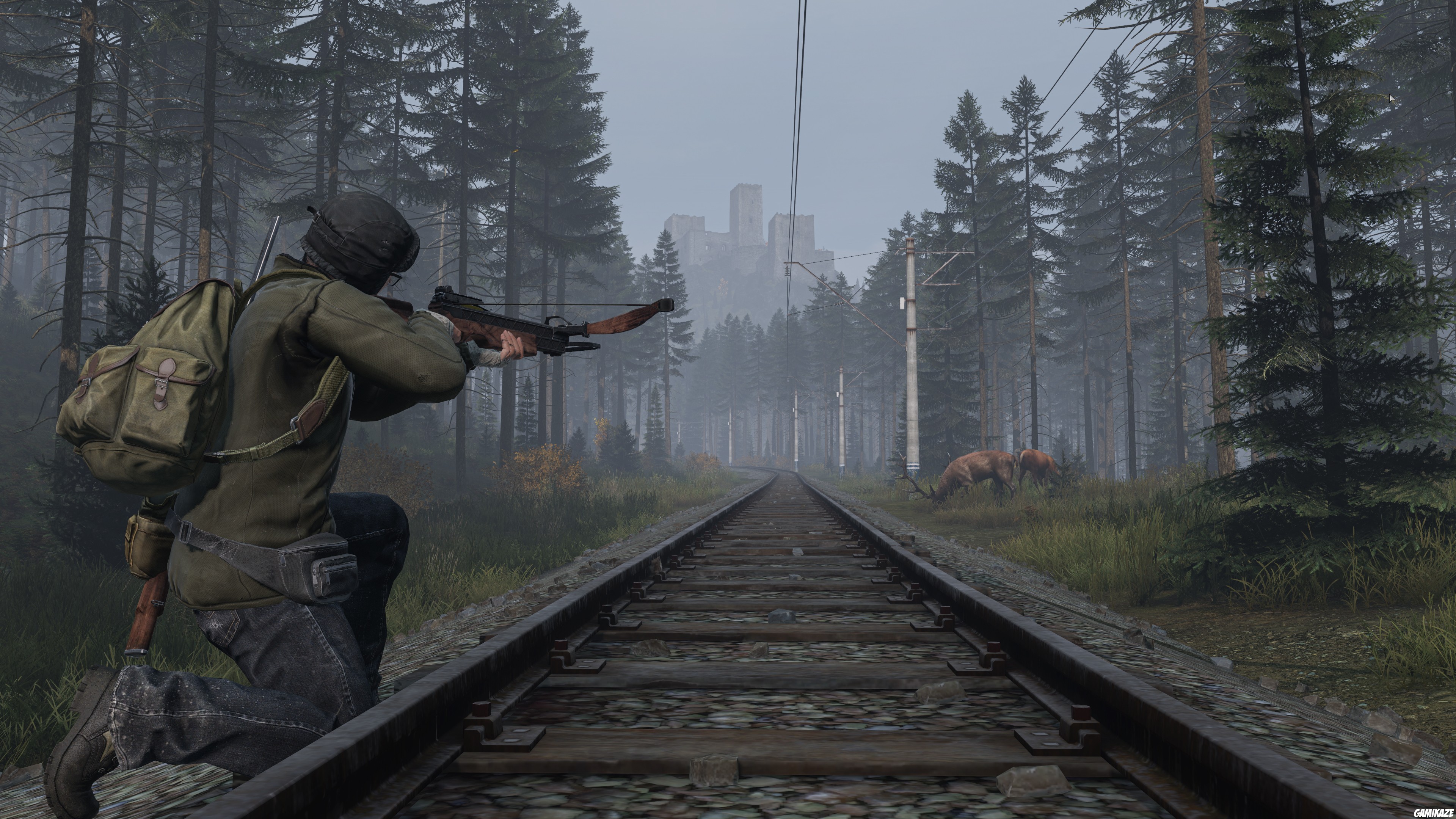 switch2 - DayZ Cool Edition
