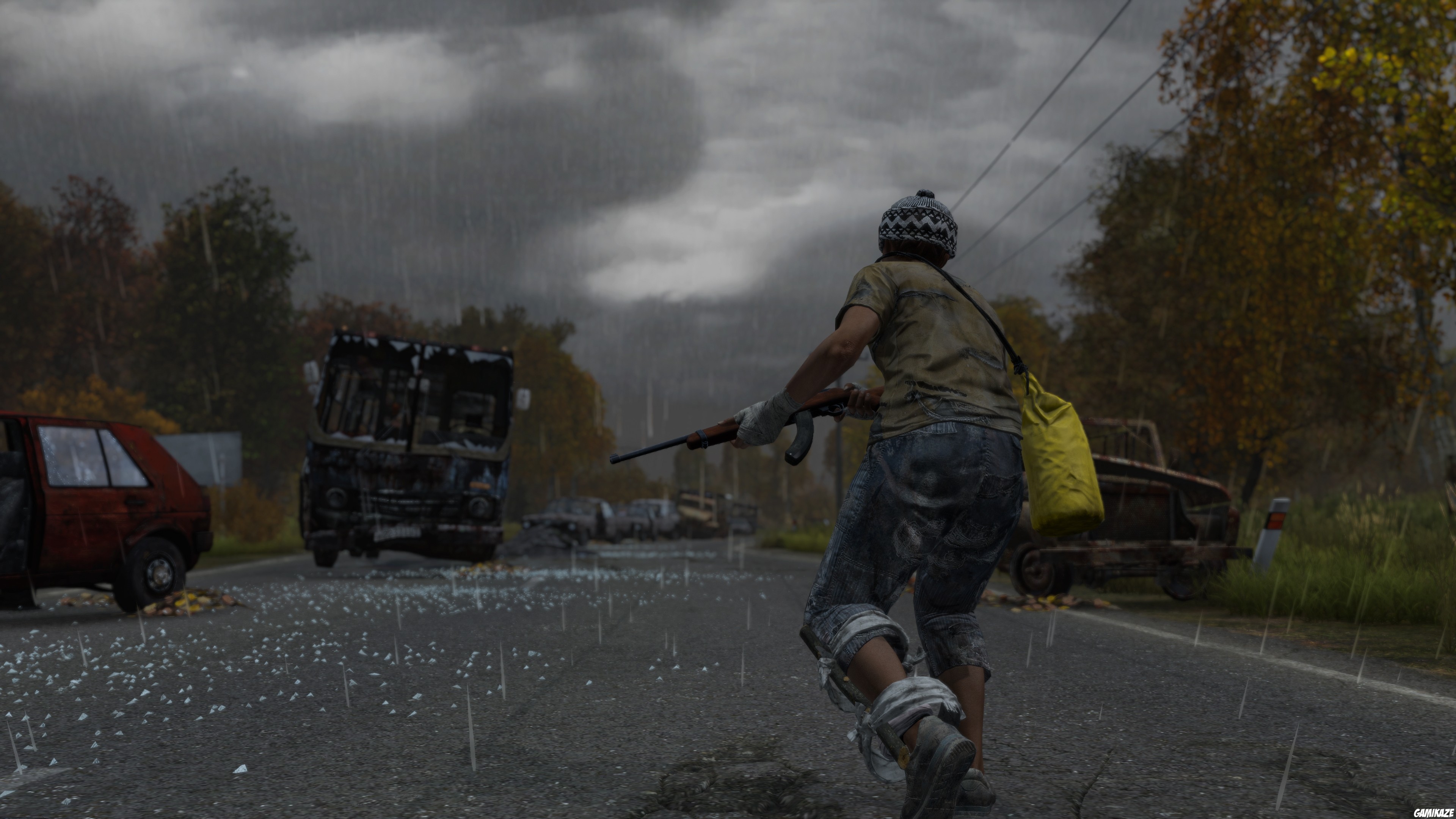 switch2 - DayZ Cool Edition
