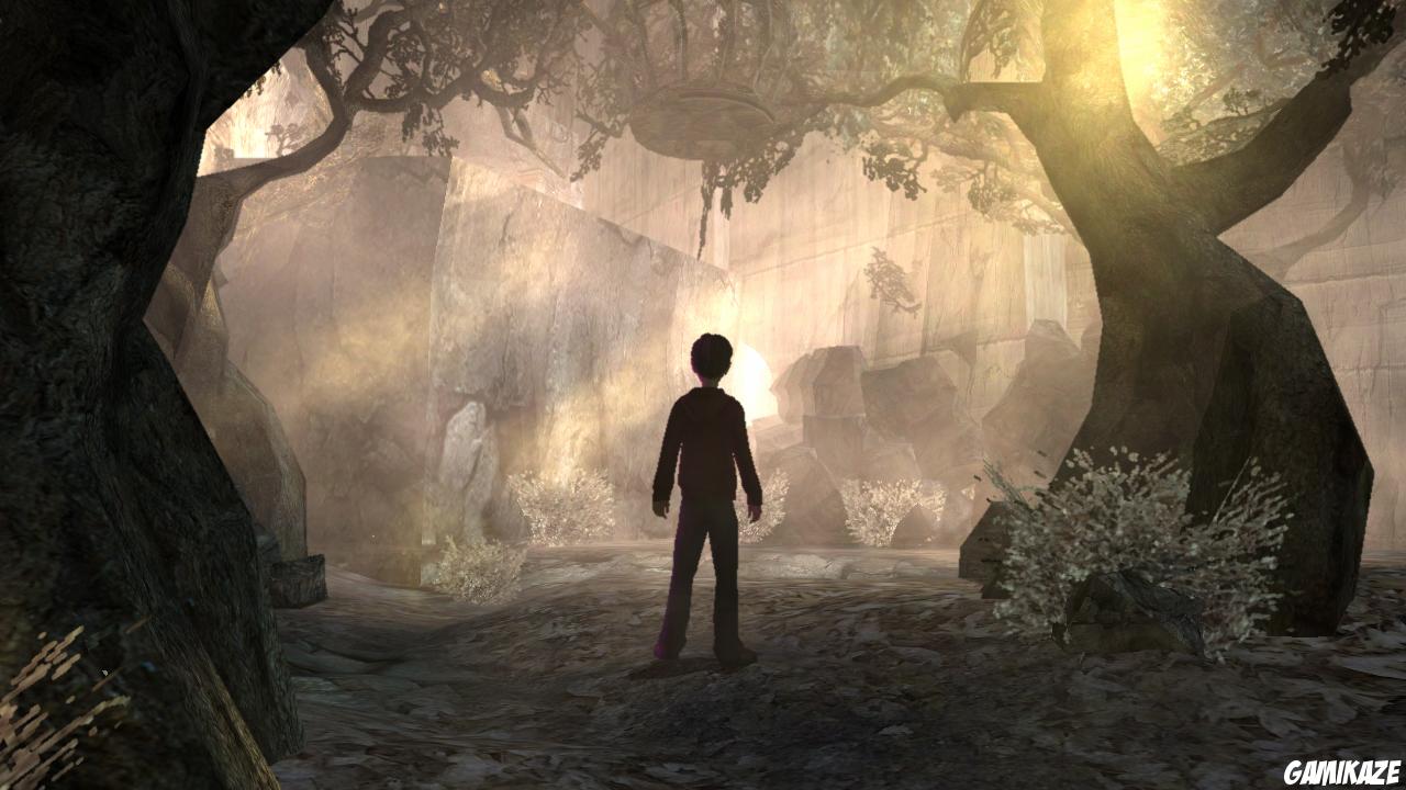 Les Chroniques De Spiderwick