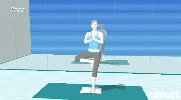 Wii Fit
