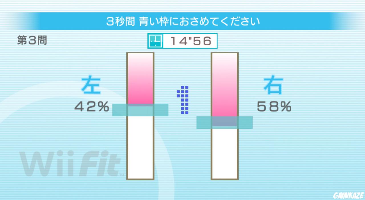 Wii Fit