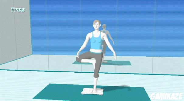 Wii Fit